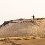 surfeur scrutant l'ocean a la recherche d'une belle vague