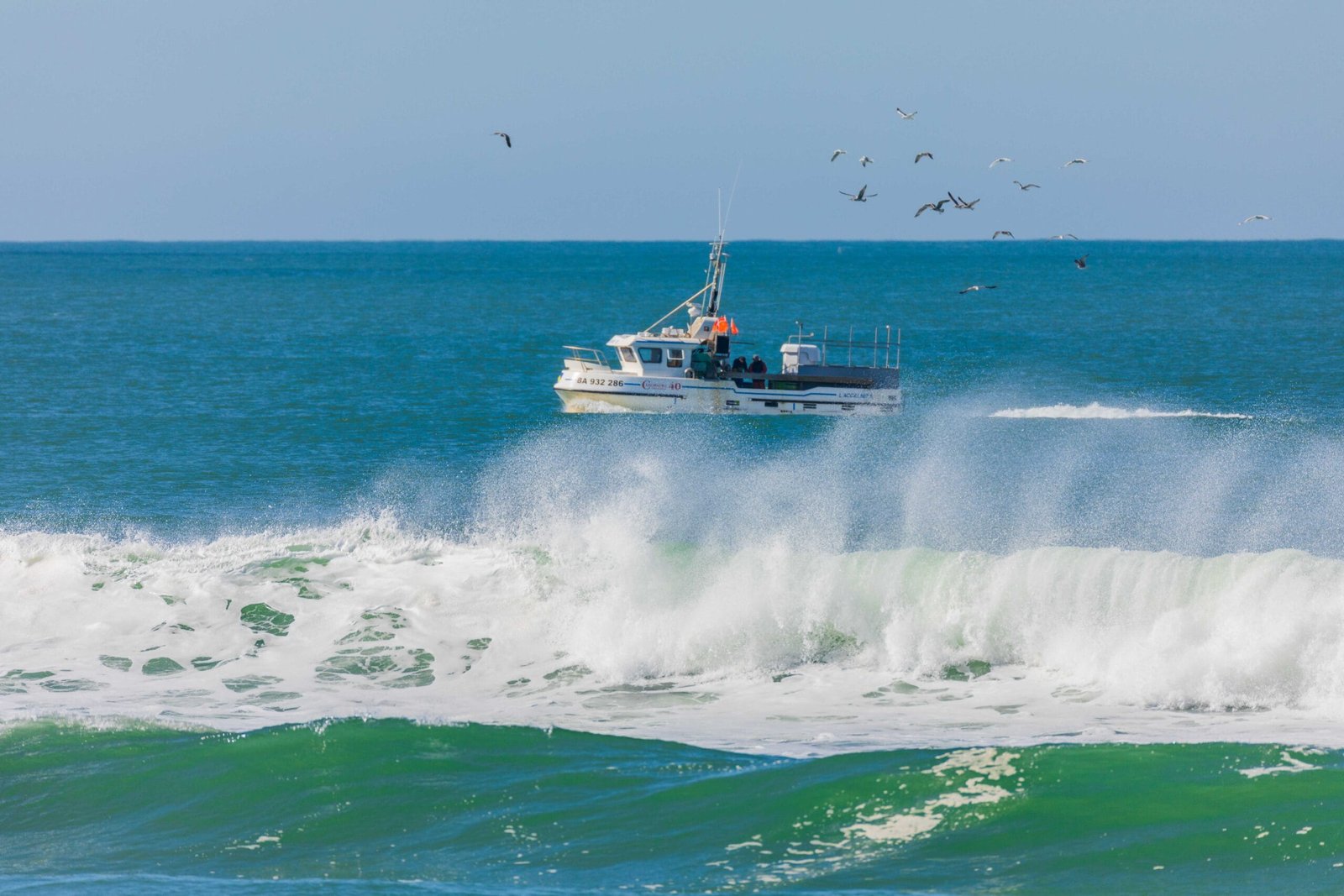 chalutier,mouettes,capbreton,pibardin40.com,vacances