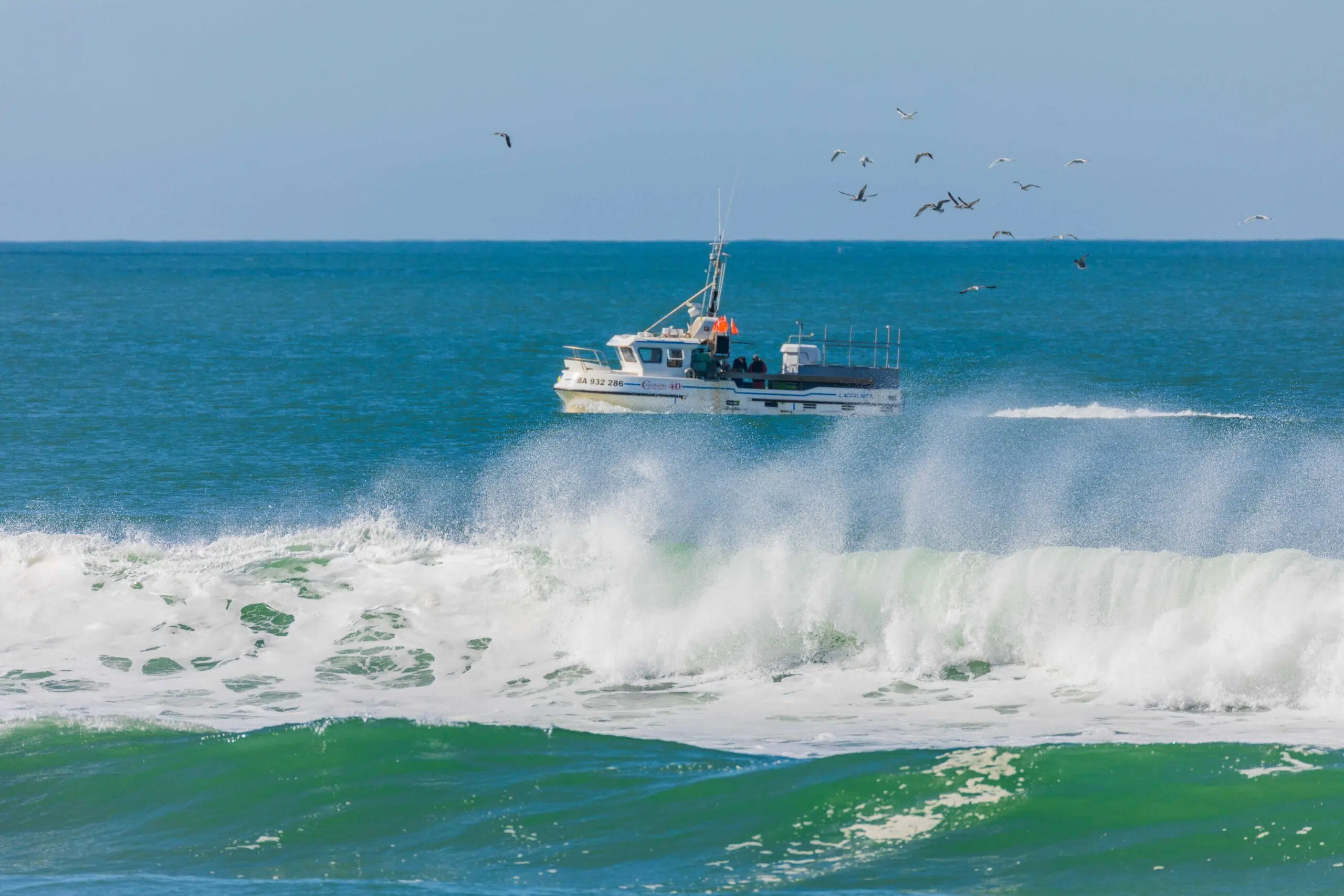 chalutier,mouettes,capbreton,pibardin40.com,vacances