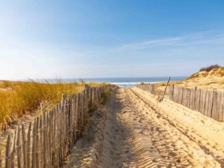 enfin sommet de la dune la pointe