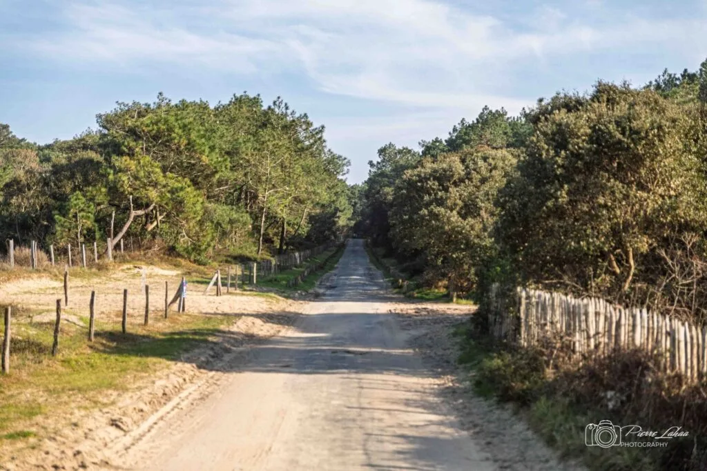 chemin de la pointe Capbreton